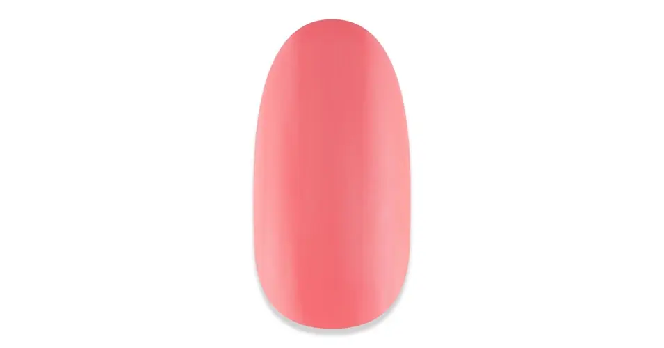 ZZ!NiiZA Gel Polish 4ml - 166 Akciós ár