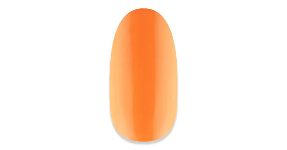 ZZ!NiiZA Gel Polish 4ml - 291 Ne maradj le