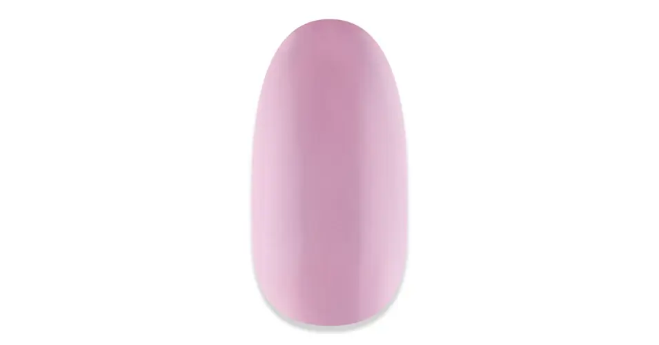 NiiZA Gel Polish 4ml - 043 Legkelendőbb