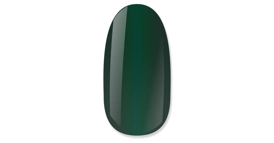 Expressz szállítás NiiZA Gel Polish 4ml - 371