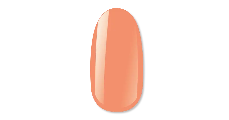 NiiZA Gel Polish 4ml - 480 Biztonságos fizetés