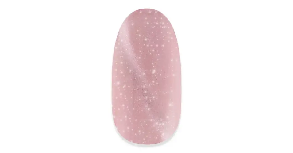 Biztonságos fizetés NiiZA Gel Polish 4ml - 496 reflective cat eye
