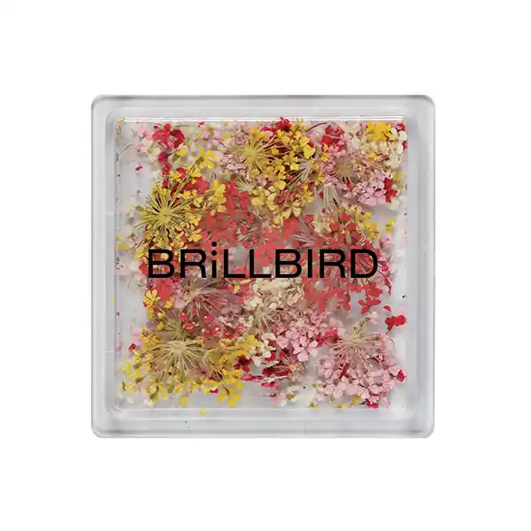 Legkelendőbb BRILLBIRD - Floral Art mix - Sunrise