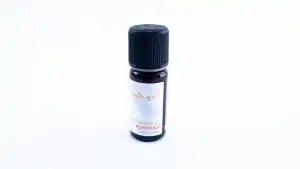 Expressz kézbesítés Bio illóolaj - NARANCS - Aromax, nagykereskedés