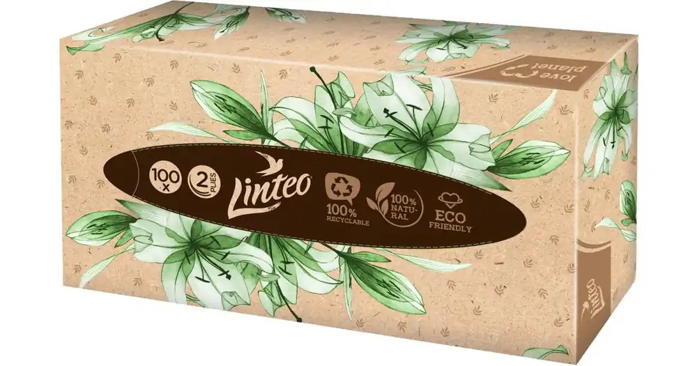 LinteoPaper Tissues Two-ply Paper, 100 pcs per box papírzsebkendő Szuper ajánlat