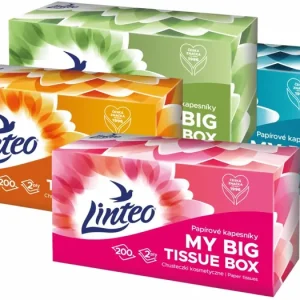 Alacsony ár LinteoPaper Tissues Two-ply Paper, 200 pcs per box papírzsebkendő