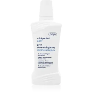 ZiajaMintperfect Activ remineralizáló szájvíz Csak ma