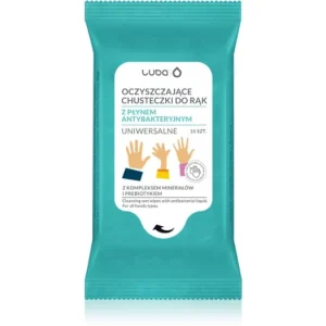 Vedd meg online LubaAntibacterial Wet Wipes nedves tisztító törlőkendők kézre