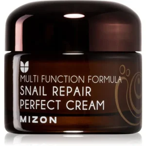 Kedvezmény MizonMulti Function Formula Snail bőrkrém csiga szekréció 60% szűrletével